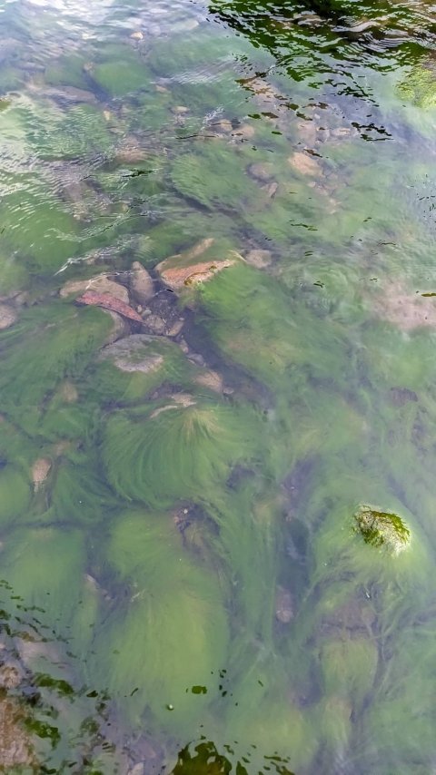 Hulu Sungai Metun Saat Kemarau