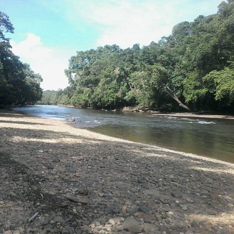 Sungai Kayan
